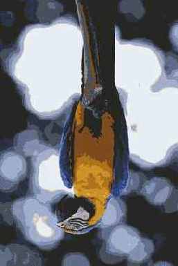 ��������������� �����������