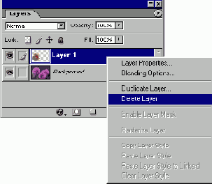 ��������������� ����