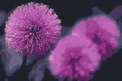 ��������������� ����