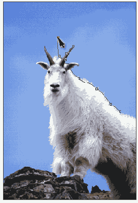 ���������� ������� ������� � ������� ����������� Freeform Pen