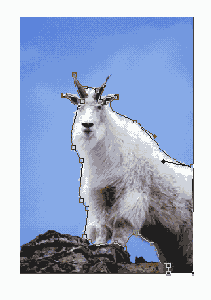 ���������� ������� ������� � ������� ����������� Freeform Pen