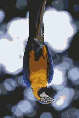 ������� ����������� �� ������������ ����