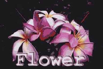 Предварительный просмотр результатов возможного размытия оптимизированного изображения в браузере