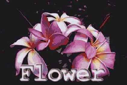 Предварительный просмотр результатов возможного размытия оптимизированного изображения в браузере