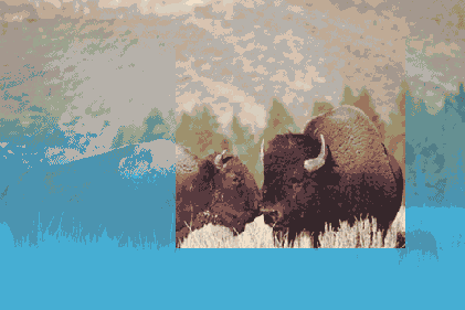 ���������� ��������� � �������� ���� �������