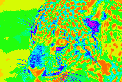 ���������� ����������� ����� � ����