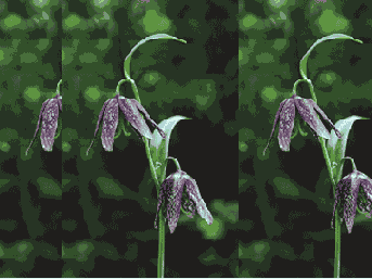 ������������� ���� � ����� ��������� �����