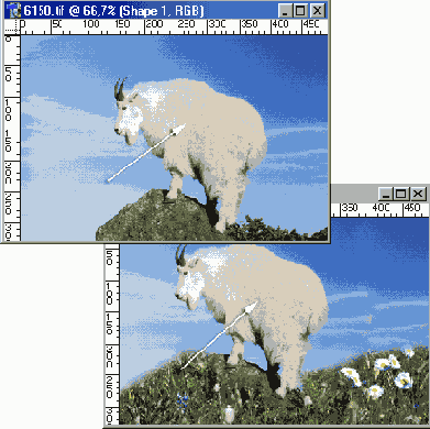 ���������� ���������� �������