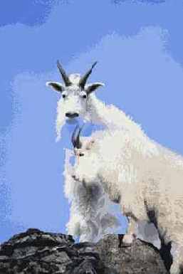 ���������� ���������� �������