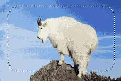 ���������� ���������� �������