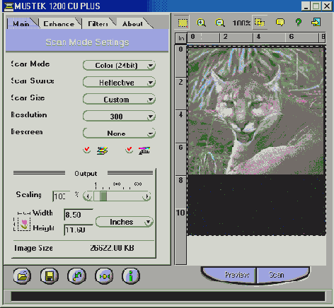 ����� 16 ��� �� �����