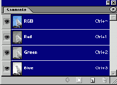 ������ �����������