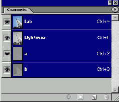 ������ ����������