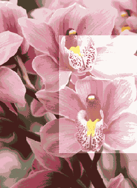 ������ ����������