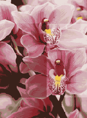 ������ ����������