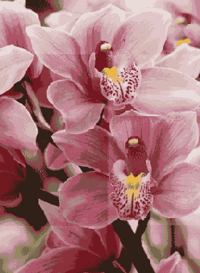 ������ ����������