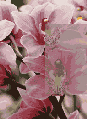 ������ ����������