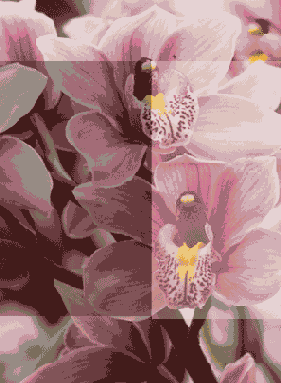 ������ ����������