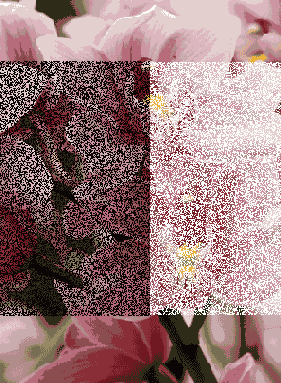 ������ ����������