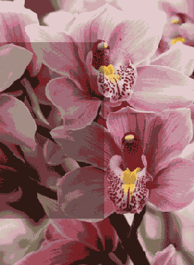 ������ ����������