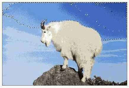 ����������� ������� ���������� �������