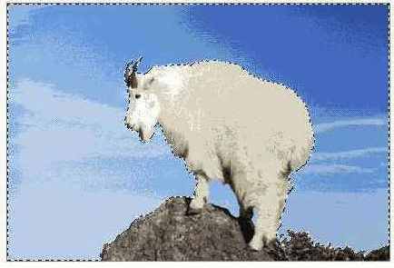 ����������� ������� ���������� �������