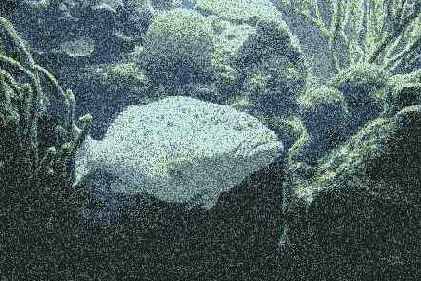 ���������� ����������������� ���� � ��������