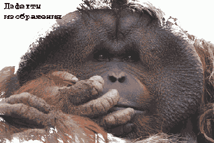 ���������� ������� ������������ ����������� � ������