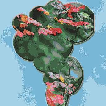 �������� ������ ���������