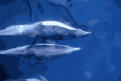 ������� ������������� �������������� �����