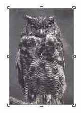 ������������� ���� ������� ��������������� �������