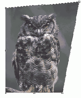 ������������� ���� ������� ��������������� �������