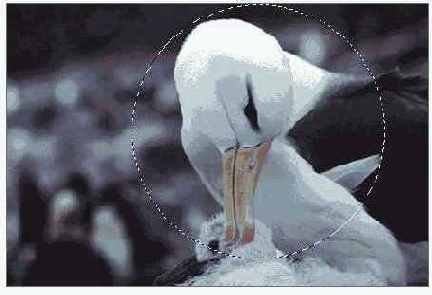 �������� �����