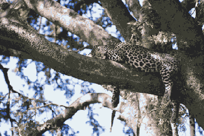 �������� ����� ��� ������������� ������� ����������� �� ������ ����