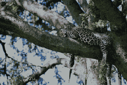 �������� ����� ��� ������������� ������� ����������� �� ������ ����