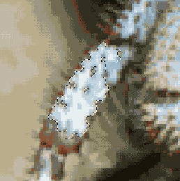 Возникновение ореола при копировании сглаженных объектов в другие программы