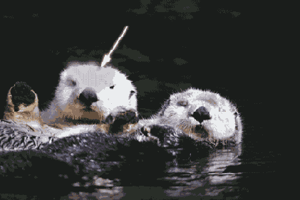 ����� ���������� ������� �����