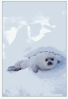 ��������� � ������� ����������� Magnetic Lasso