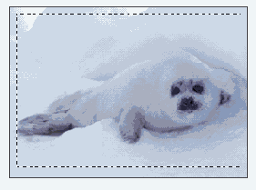 ������� ���������� ������� ��� ���� �����-���� ������, ������ ��� ������������