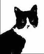 Цветовые режимы Photoshop