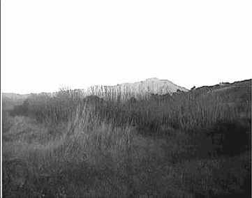 Требуется восстановить реалистичные детали пейзажа,