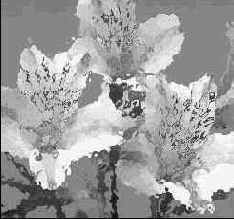 Секреты деформаций