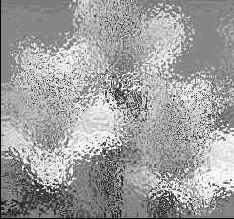 Секреты деформаций