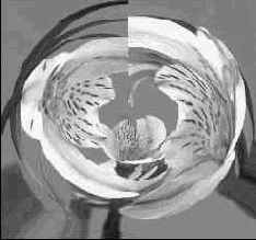 Секреты деформаций