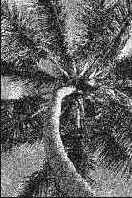 Секреты имитации текстур