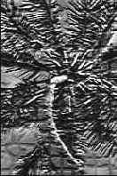 Секреты имитации текстур