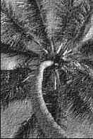 Секреты имитации текстур