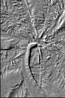 Секреты имитации текстур