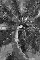 Секреты имитации текстур