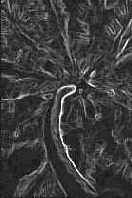 Секреты имитации текстур